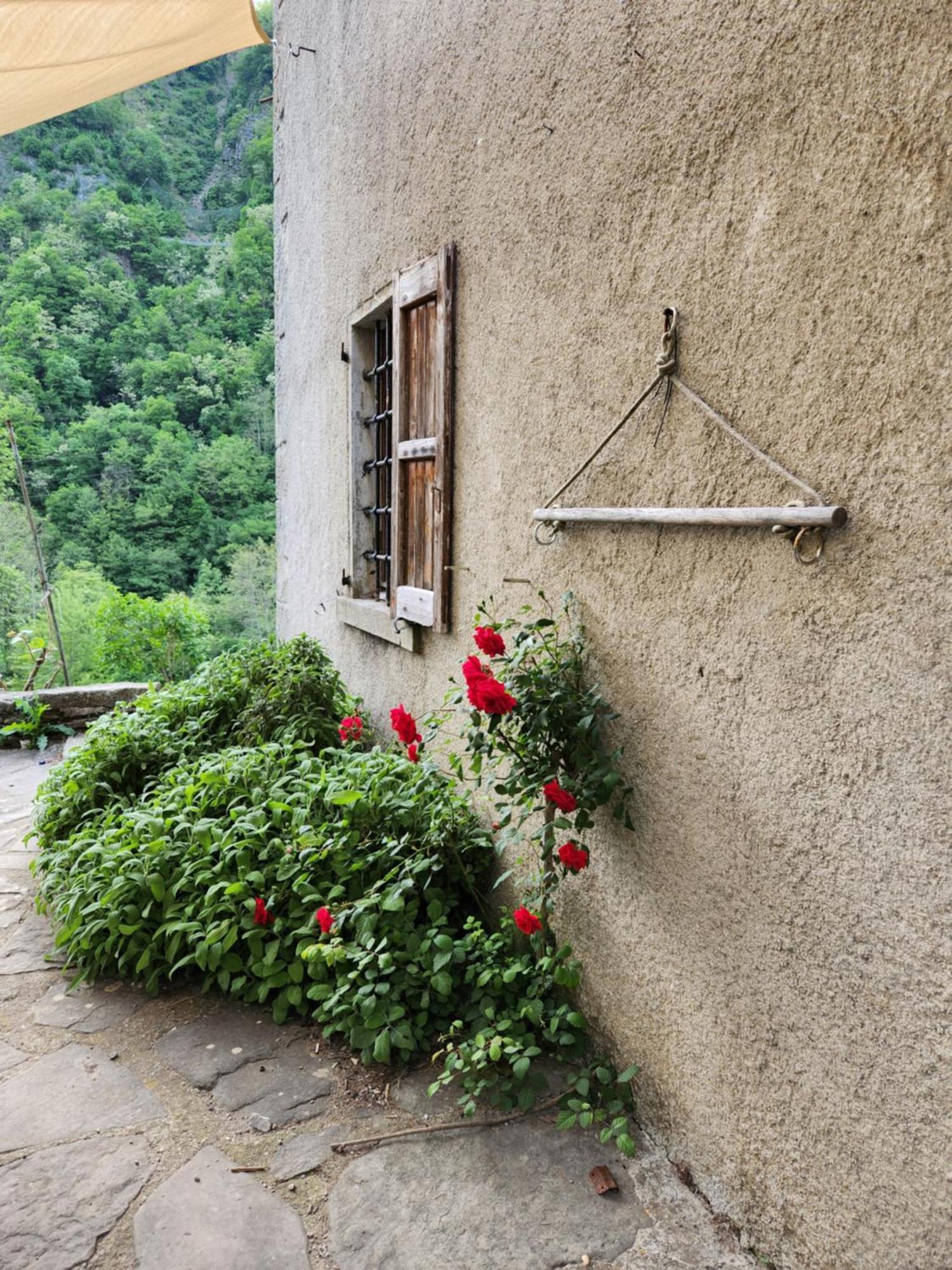 Villa Contea Del Piano Piteglio Esterno foto