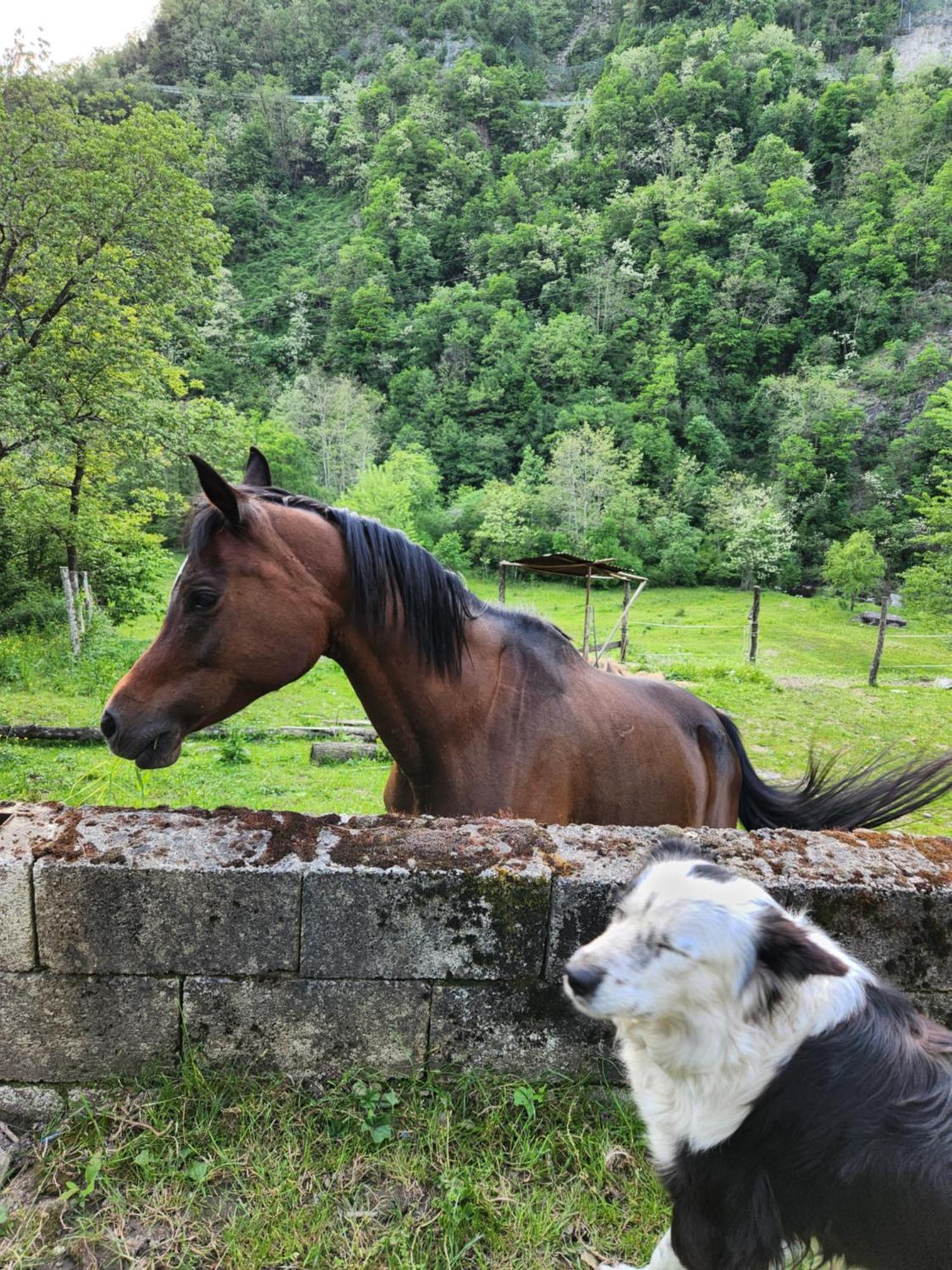 Villa Contea Del Piano Piteglio Esterno foto