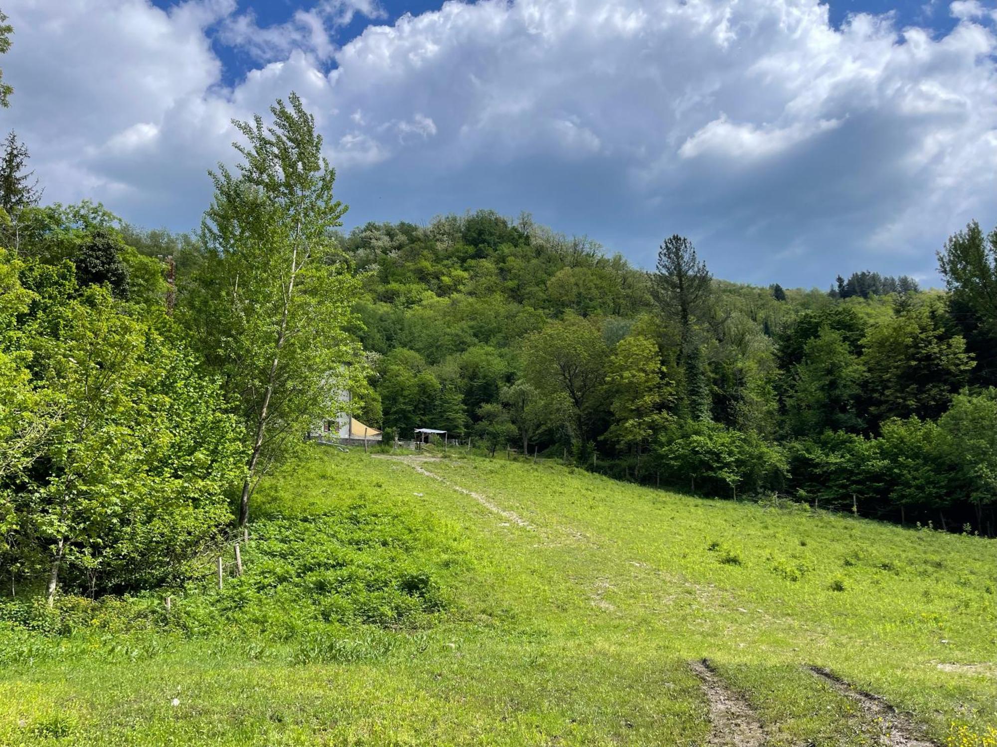 Villa Contea Del Piano Piteglio Esterno foto
