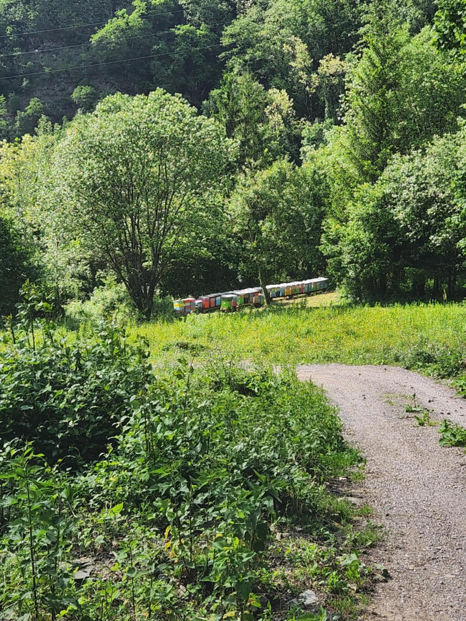Villa Contea Del Piano Piteglio Esterno foto