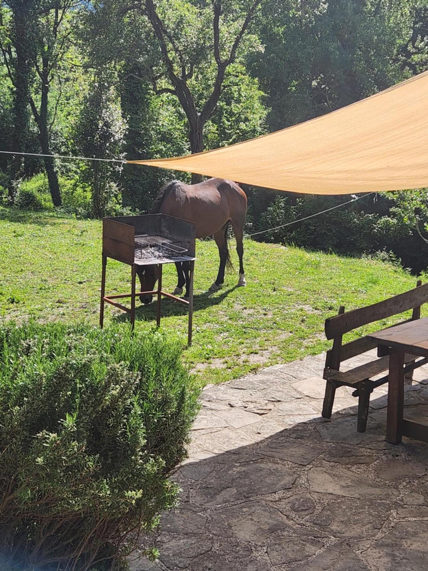 Villa Contea Del Piano Piteglio Esterno foto